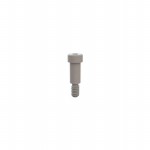 31031062参考图片