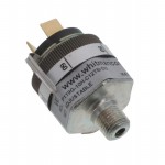 P119G-10H-C12TB-DIS参考图片