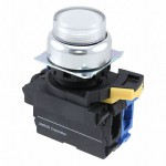 A22NL-RPM-TWA-G100-WD参考图片