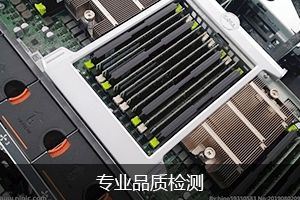专业的运营推广团队